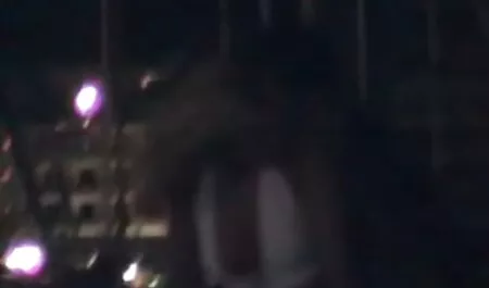 Porno Amateur caché jeune buff vintage zoo porno fille